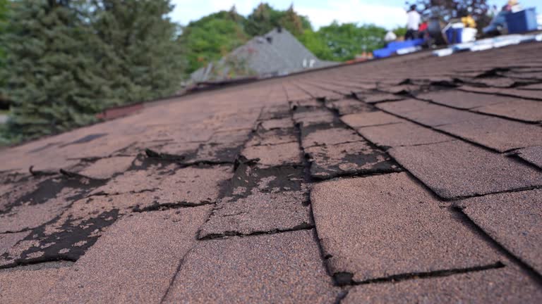 Hot Roofs in Northdale, FL