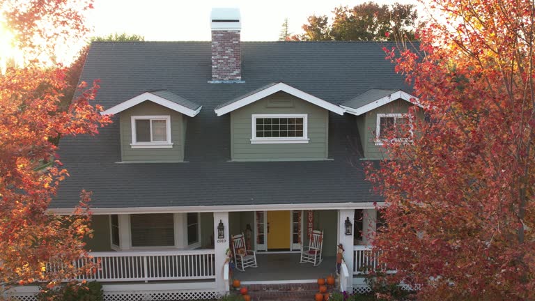 Best Roof Insulation Installation  in Northdale, FL