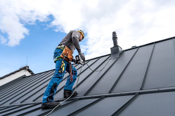 Best Asphalt Shingle Roofing  in Northdale, FL